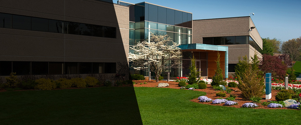 Massachusetts Landscapers