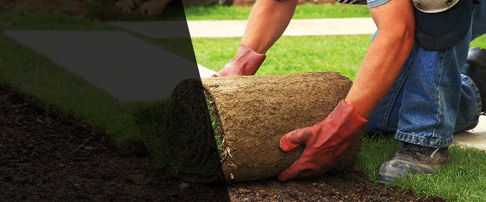 Massachusetts Landscapers